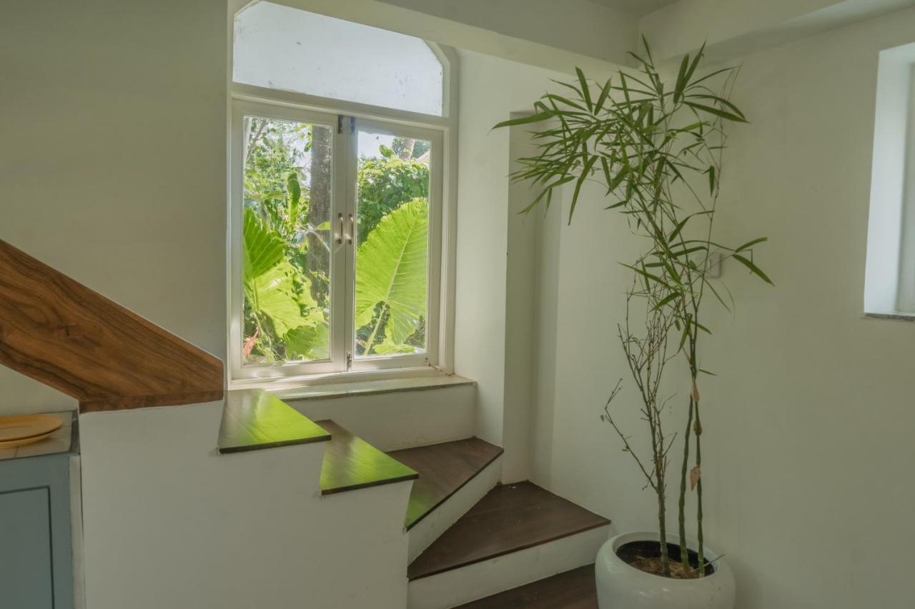 The Island Sanctuary - A Village Secret * Chorao